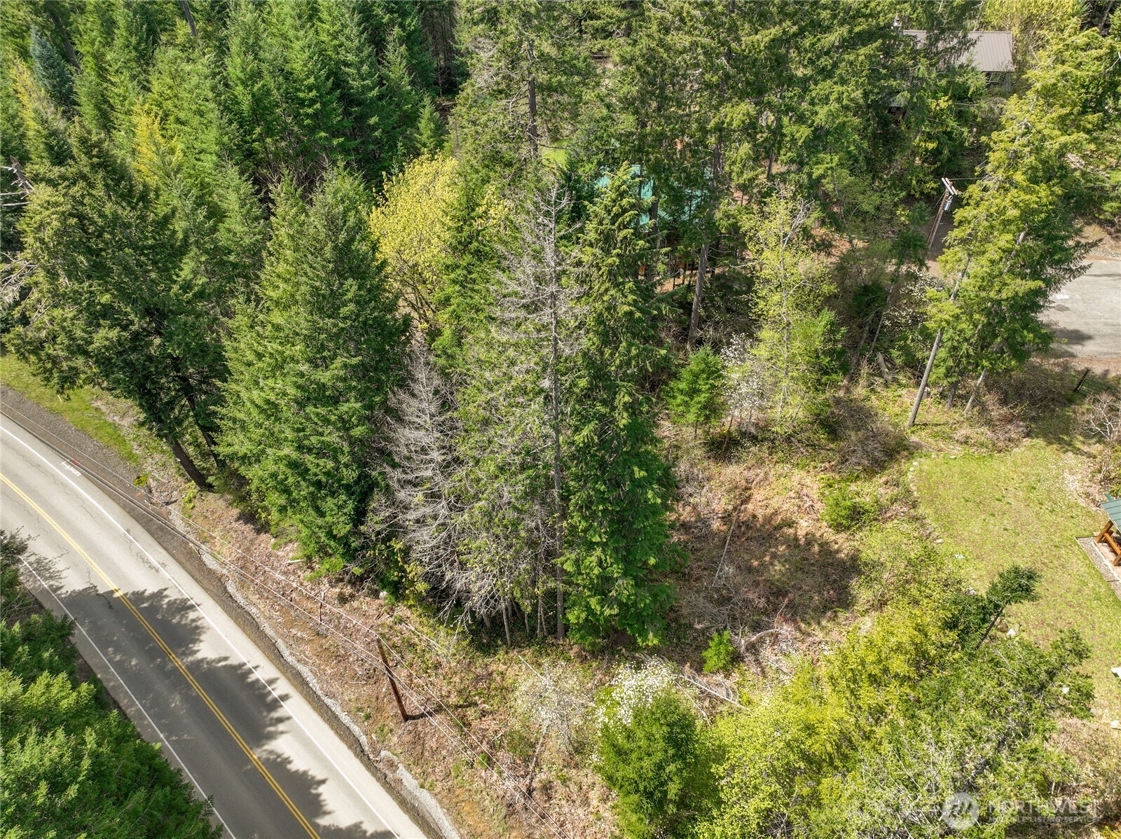 0 Terrace Way Packwood WA 98361