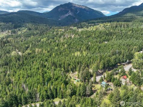 0 Terrace Way Packwood WA 98361