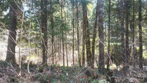 0 Terrace Way Packwood WA 98361