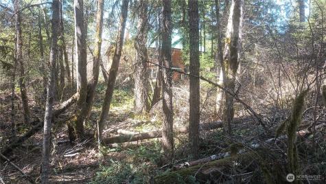0 Terrace Way Packwood WA 98361