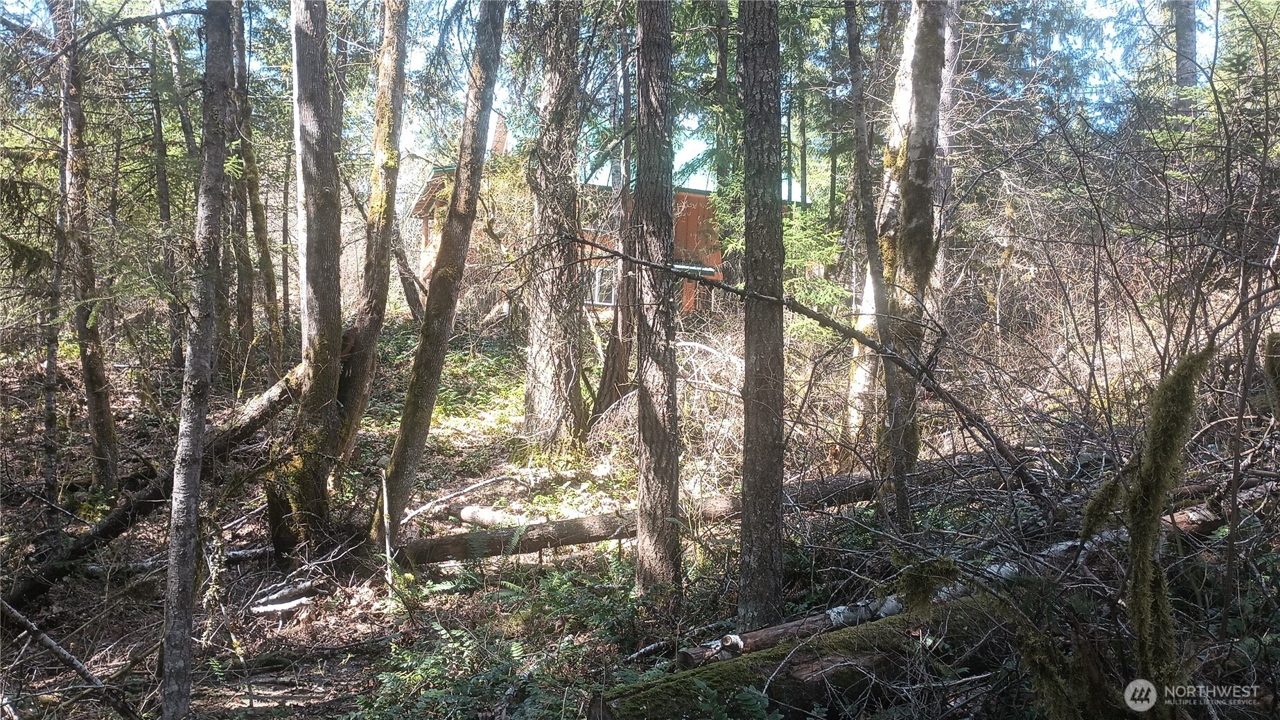 0 Terrace Way Packwood WA 98361