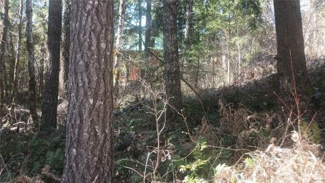 0 Terrace Way Packwood WA 98361