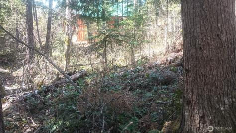 0 Terrace Way Packwood WA 98361