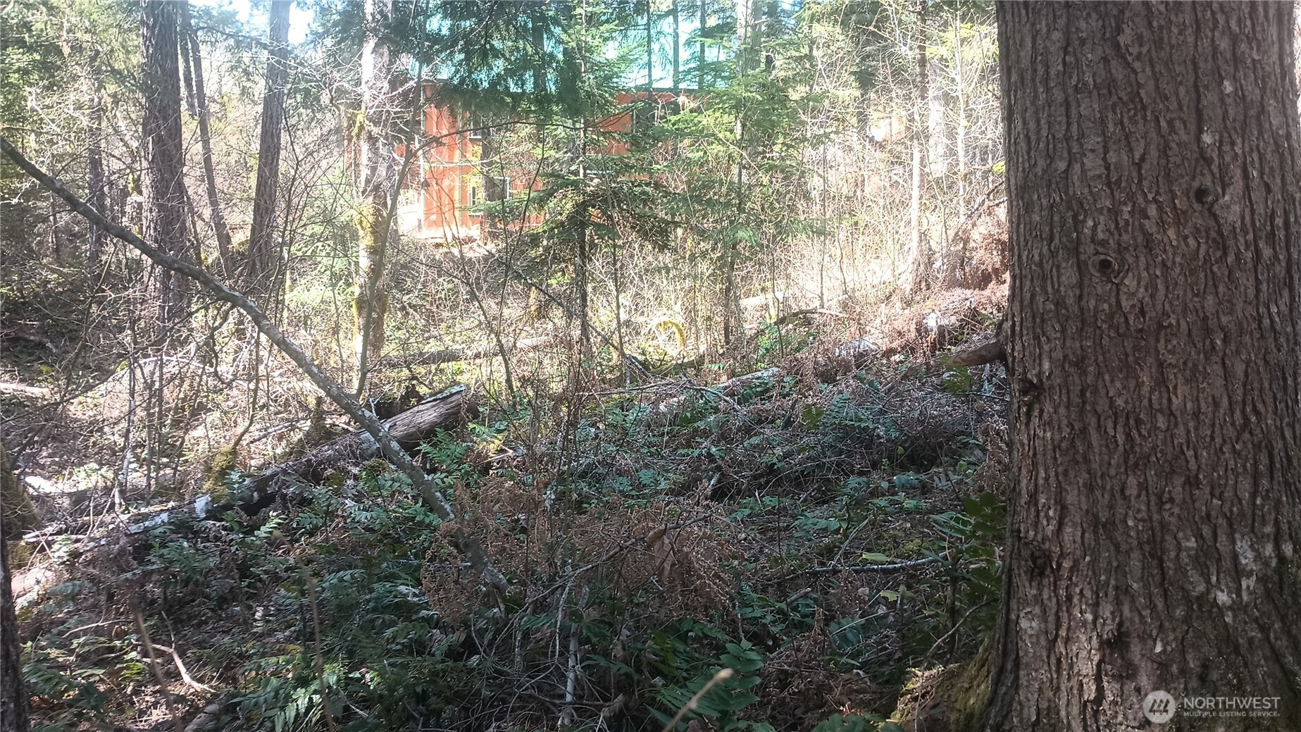 0 Terrace Way Packwood WA 98361