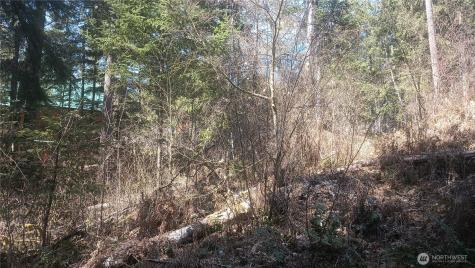 0 Terrace Way Packwood WA 98361