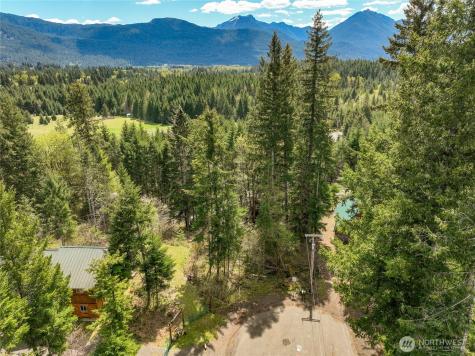 0 Terrace Way Packwood WA 98361