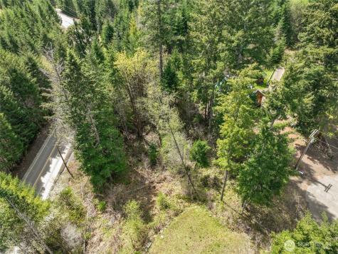 0 Terrace Way Packwood WA 98361
