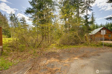 0 Terrace Way Packwood WA 98361