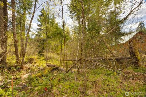 0 Terrace Way Packwood WA 98361