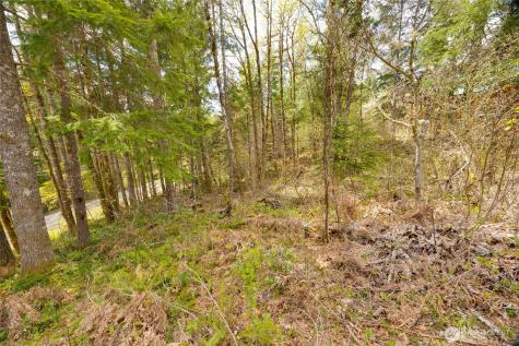 0 Terrace Way Packwood WA 98361