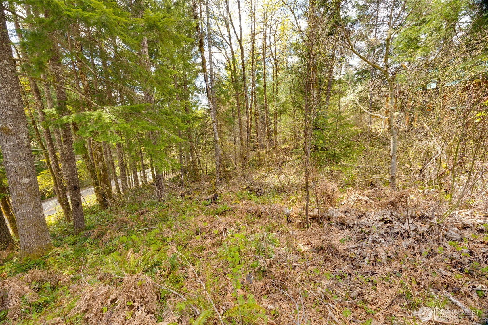 0 Terrace Way Packwood WA 98361