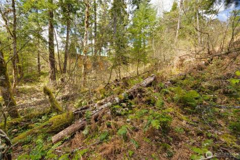 0 Terrace Way Packwood WA 98361