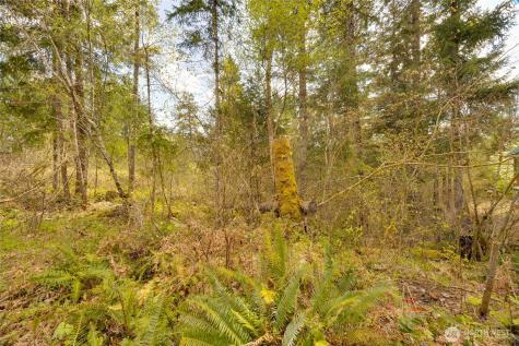 0 Terrace Way Packwood WA 98361