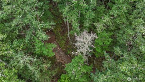 3071 Hales Passage Drive Lummi Island WA 98262