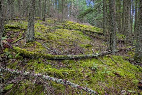 3071 Hales Passage Drive Lummi Island WA 98262