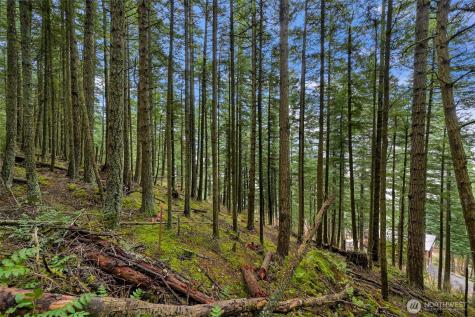 3071 Hales Passage Drive Lummi Island WA 98262