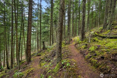 3071 Hales Passage Drive Lummi Island WA 98262