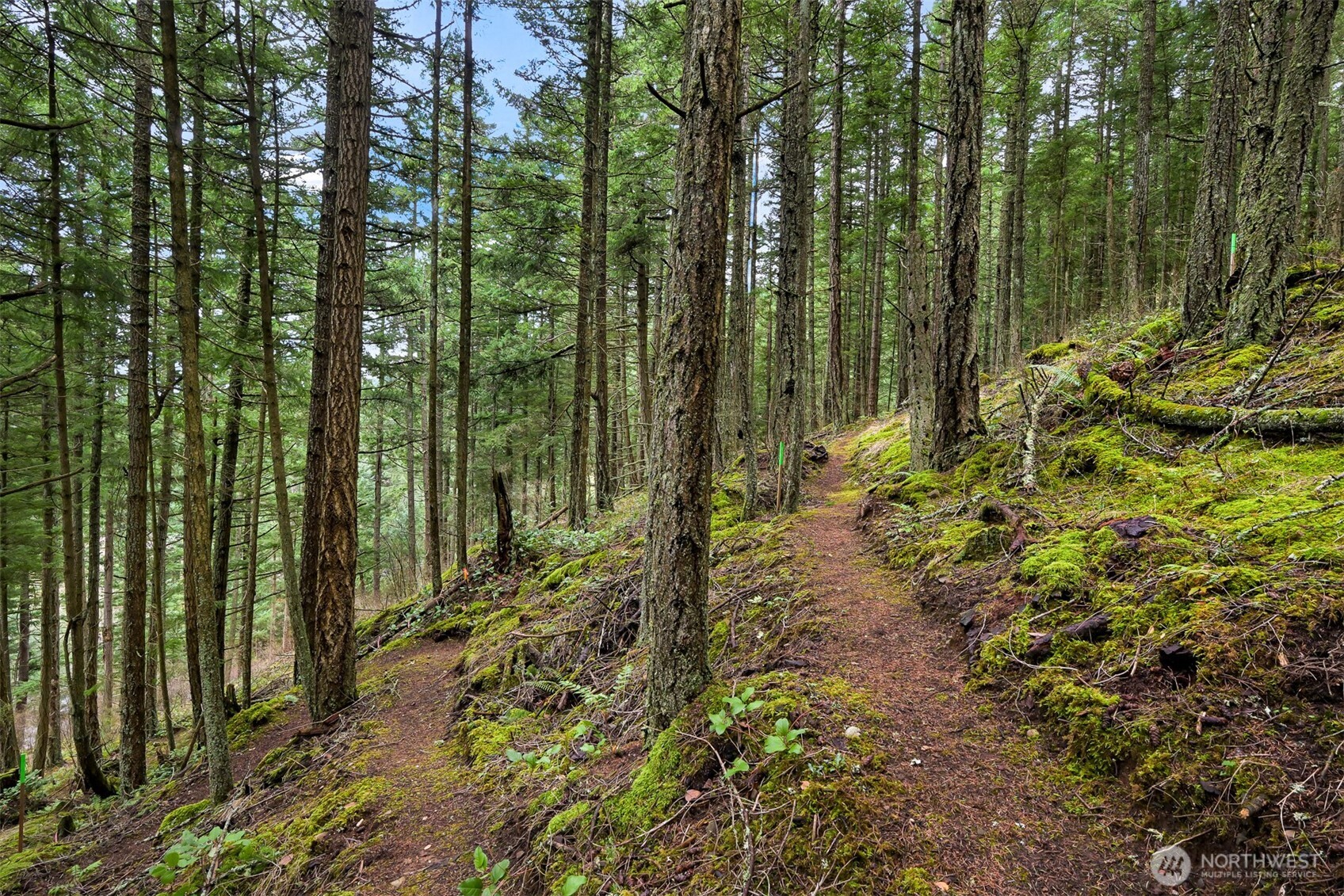 3071 Hales Passage Drive Lummi Island WA 98262