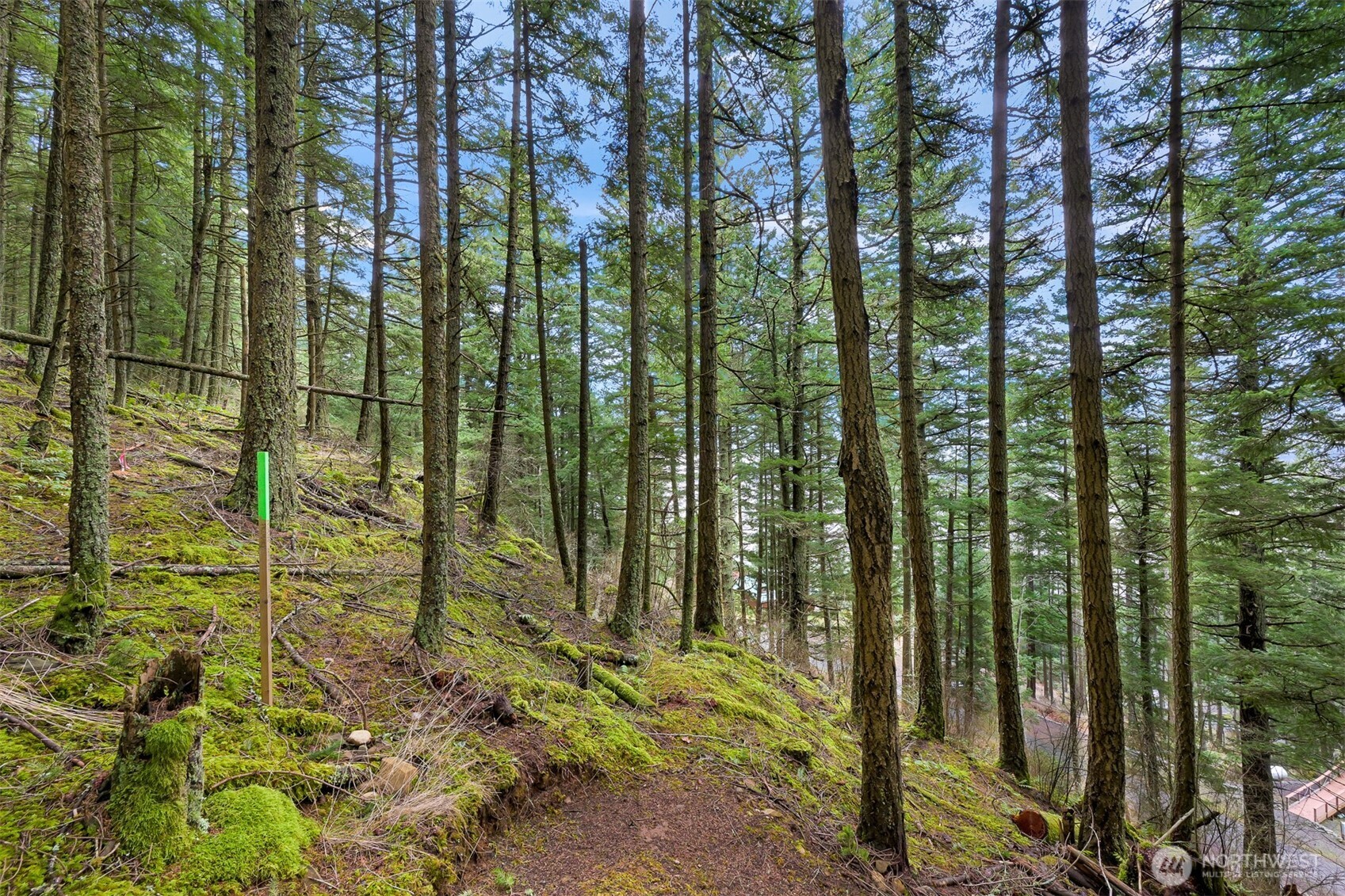 3071 Hales Passage Drive Lummi Island WA 98262