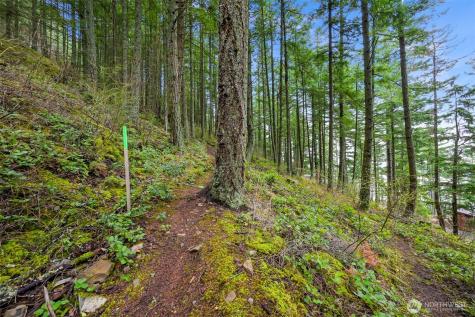 3071 Hales Passage Drive Lummi Island WA 98262