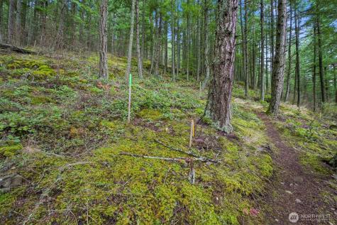 3071 Hales Passage Drive Lummi Island WA 98262