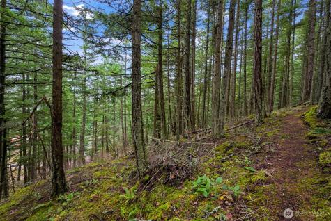 3071 Hales Passage Drive Lummi Island WA 98262