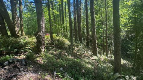 12820 SW Bank Road Vashon WA 98070