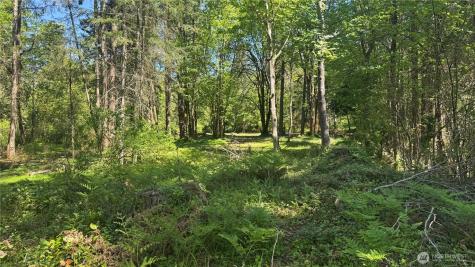 12820 SW Bank Road Vashon WA 98070