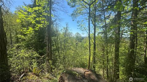 12820 SW Bank Road Vashon WA 98070