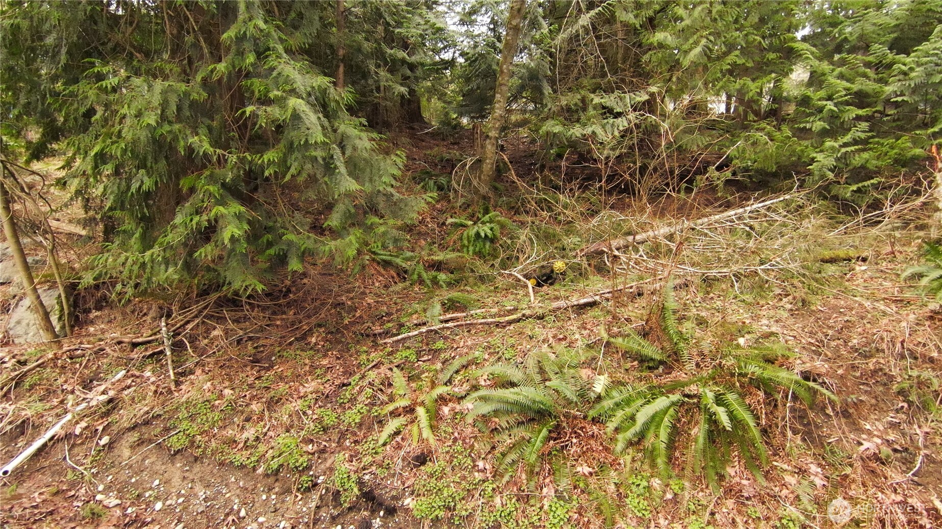 0 Summerset Sedro Woolley WA 98284