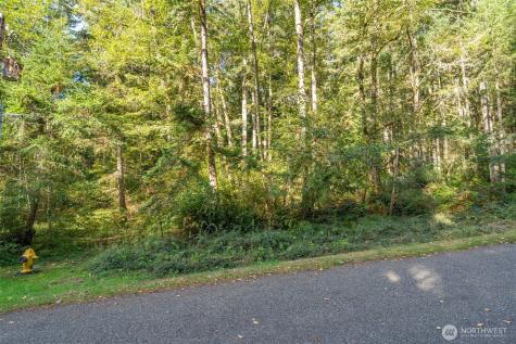 10602 Vantage Drive Anderson Island WA 98303