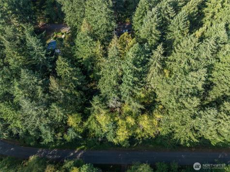 10602 Vantage Drive Anderson Island WA 98303