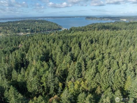 10602 Vantage Drive Anderson Island WA 98303