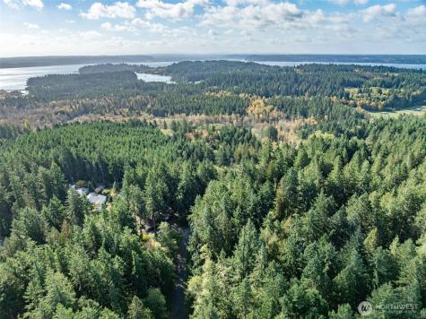 10602 Vantage Drive Anderson Island WA 98303
