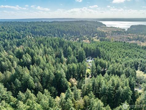 10602 Vantage Drive Anderson Island WA 98303