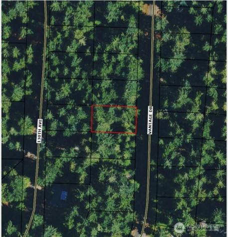 10602 Vantage Drive Anderson Island WA 98303
