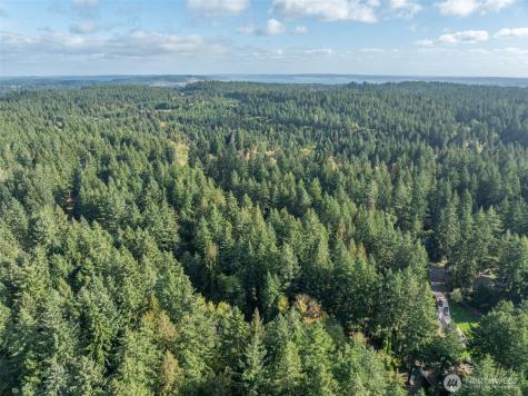10602 Vantage Drive Anderson Island WA 98303