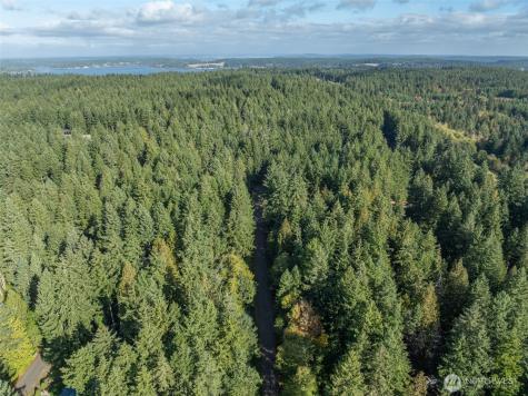 10602 Vantage Drive Anderson Island WA 98303