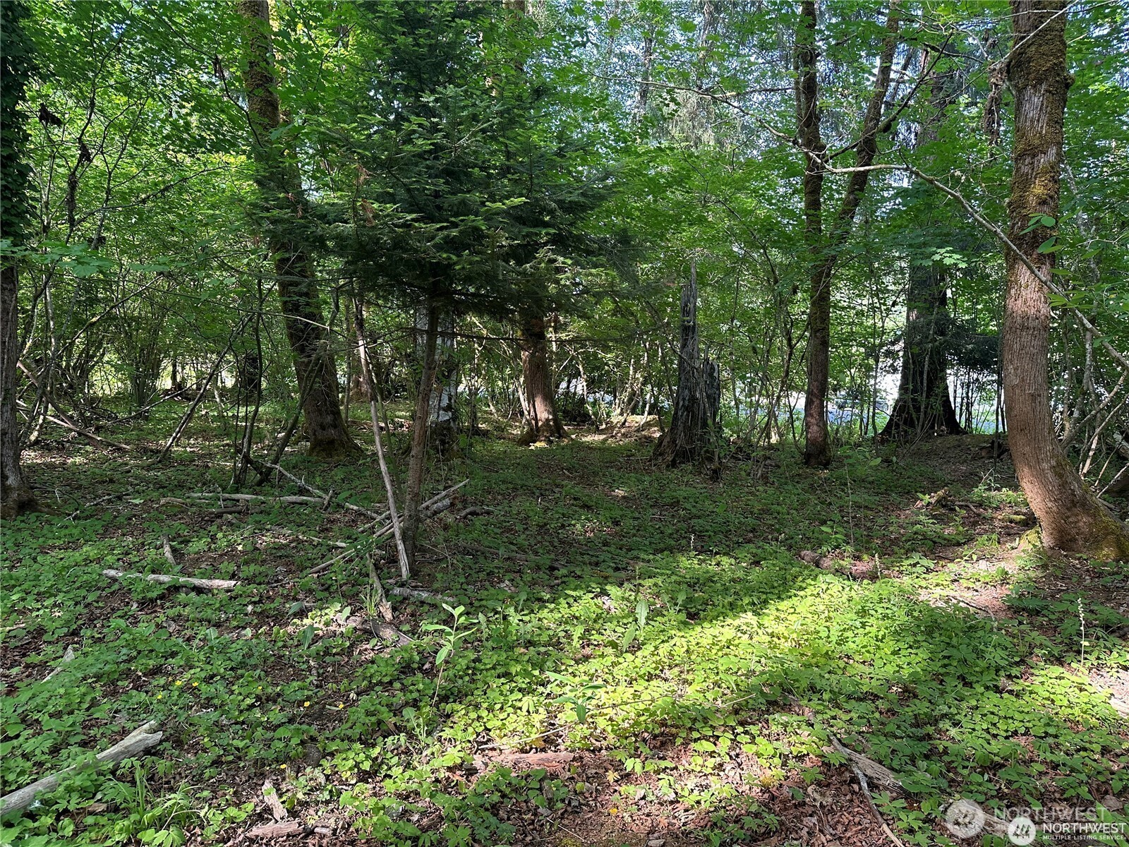 0 W Deegan Road Shelton WA 98584