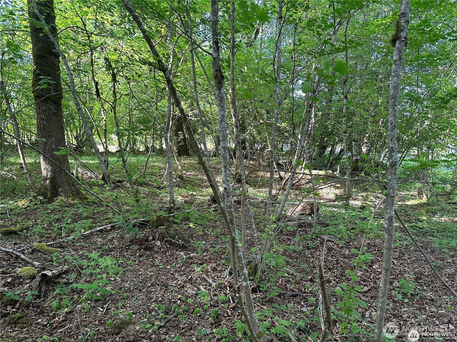 0 W Deegan Road Shelton WA 98584