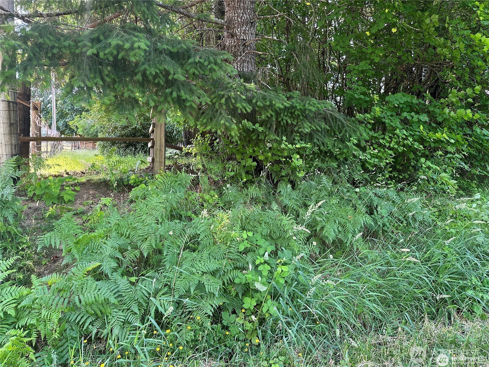 0 W Deegan Road Shelton WA 98584