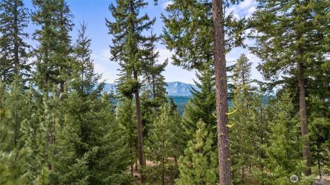 7 Red Sky Way Cle Elum WA 98922