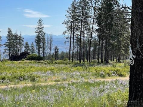 0 4xx Harmony Heights Road Brewster WA 98812