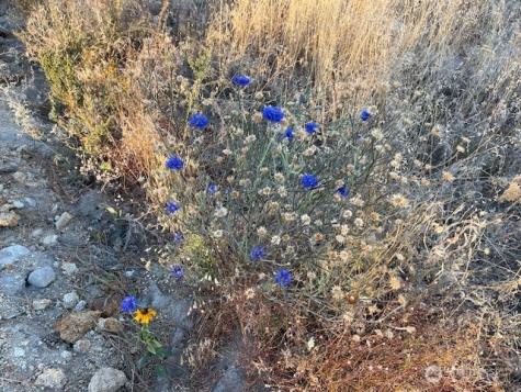 0 4xx Harmony Heights Road Brewster WA 98812