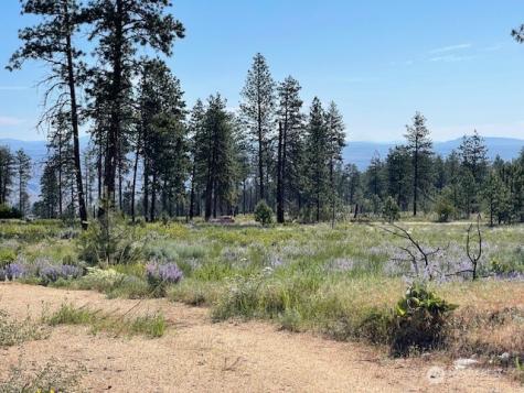 0 4xx Harmony Heights Road Brewster WA 98812