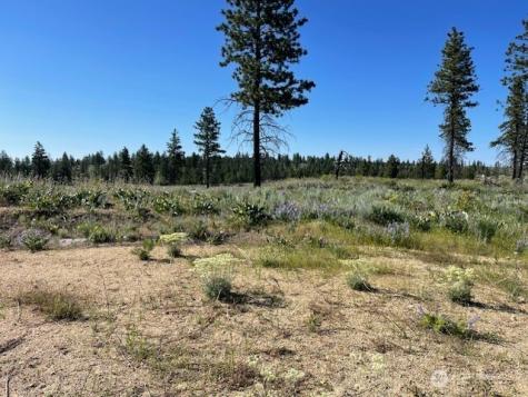 0 4xx Harmony Heights Road Brewster WA 98812