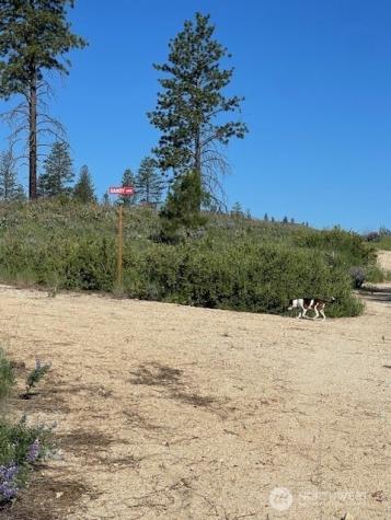 0 4xx Harmony Heights Road Brewster WA 98812