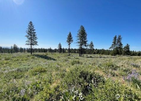 0 4xx Harmony Heights Road Brewster WA 98812