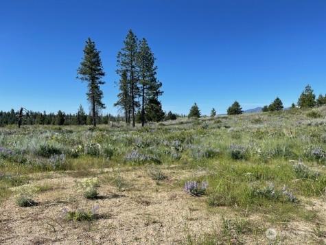 0 4xx Harmony Heights Road Brewster WA 98812