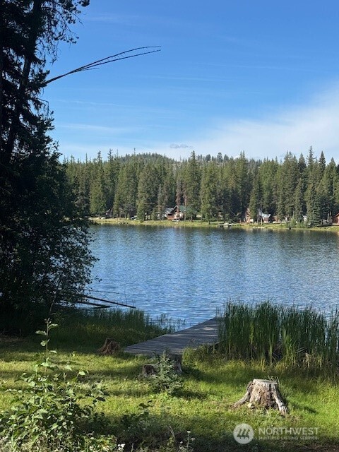478 Thompson Road Riverside WA 98849